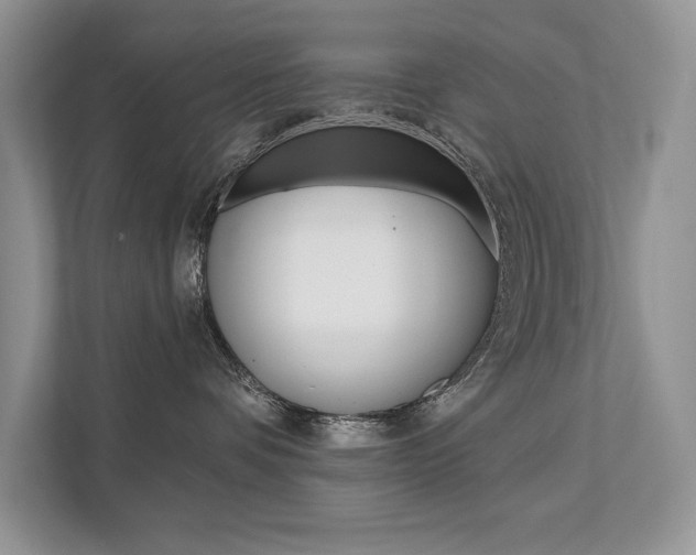 X0000111670336200907171449