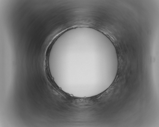 X0000111670338200907171449