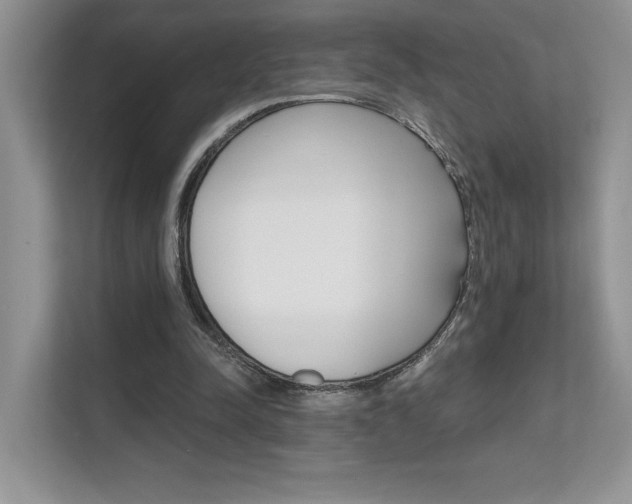 X0000111670342200907171449