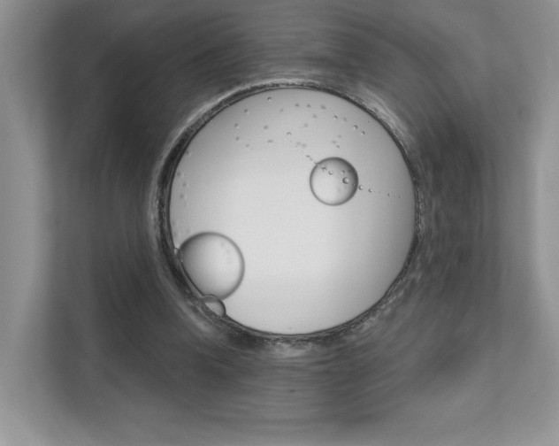 X0000111670346200907171449