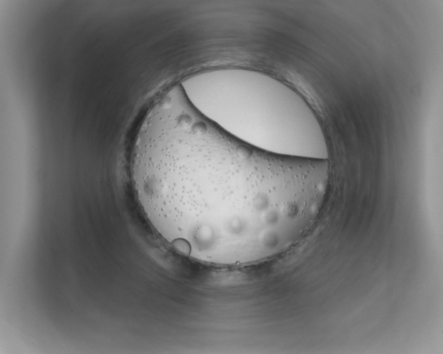 X0000111670354200907171449