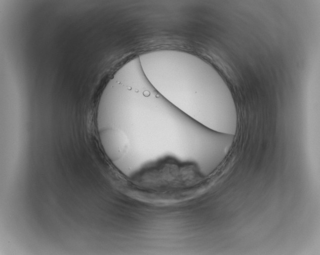 X0000111670359200907171449