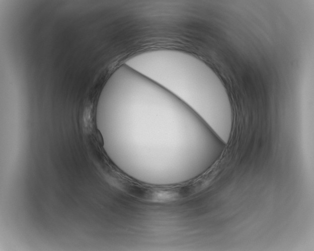 X0000111670360200907171449