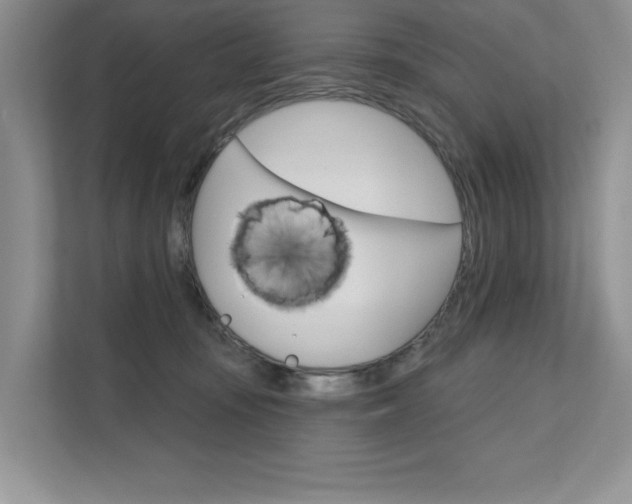 X0000111670371200907171449