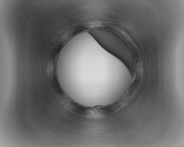 X0000111670372200907171449