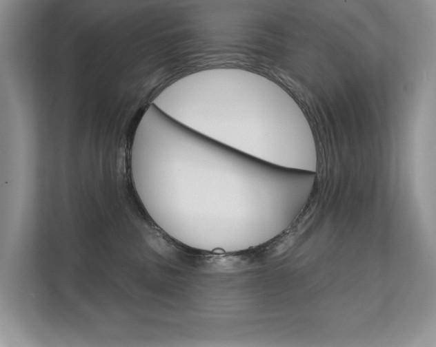 X0000111670379200907171449