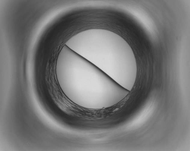 X0000111670383200907171449