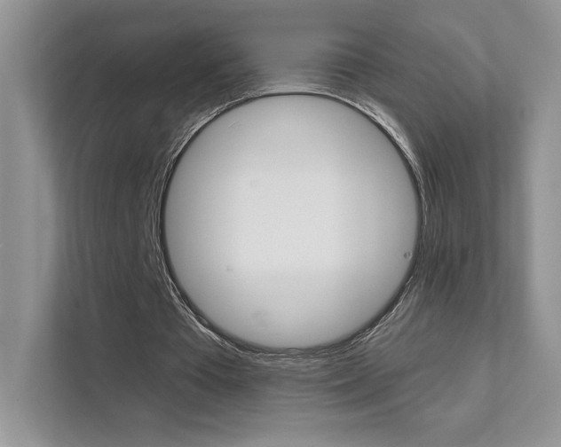 X0000111670385200907171448