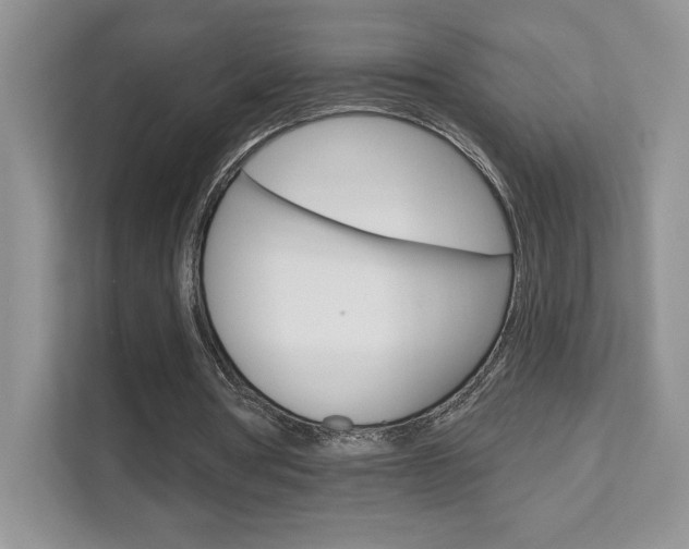 X0000111670386200907171448
