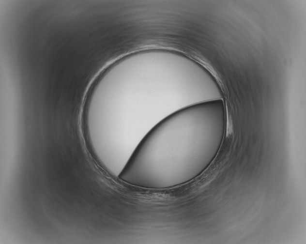 X0000111670387200907171448