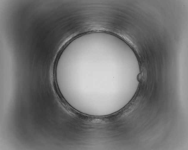 X0000111670390200907171448