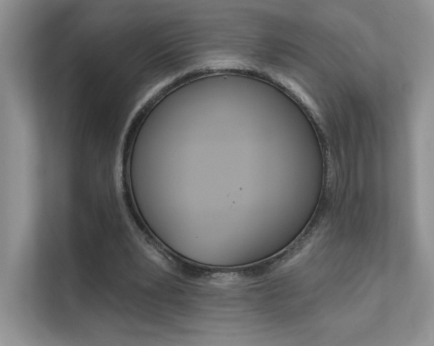 X0000111670391200907171448