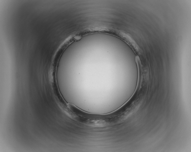 X0000111670395200907171448