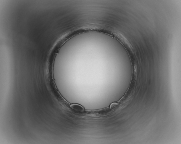 X0000111670396200907171448