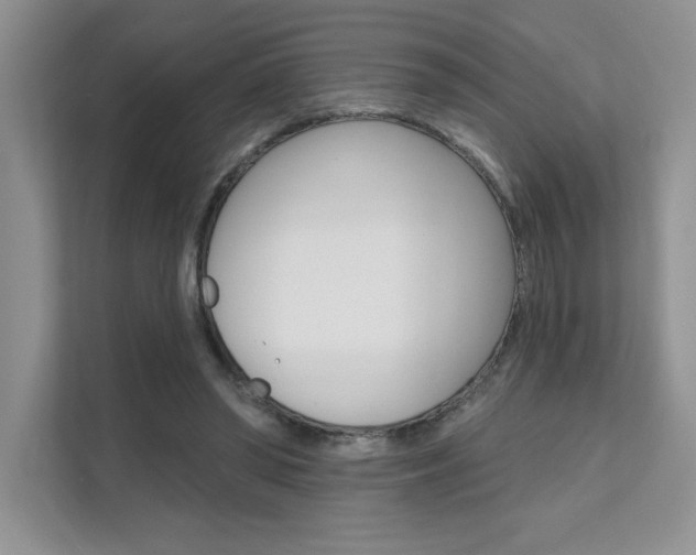 X0000111670398200907171448