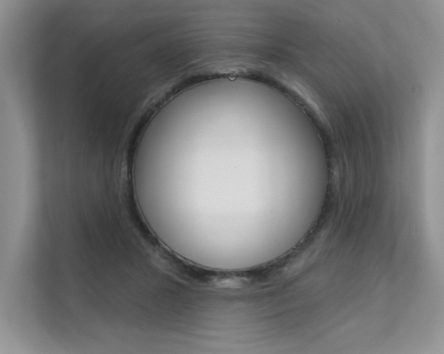 X0000111670407200907171448