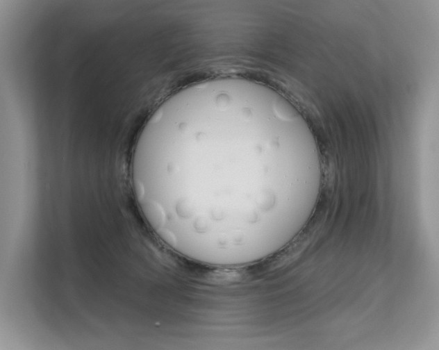 X0000111670418200907171448
