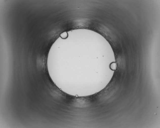 X0000111670423200907171448