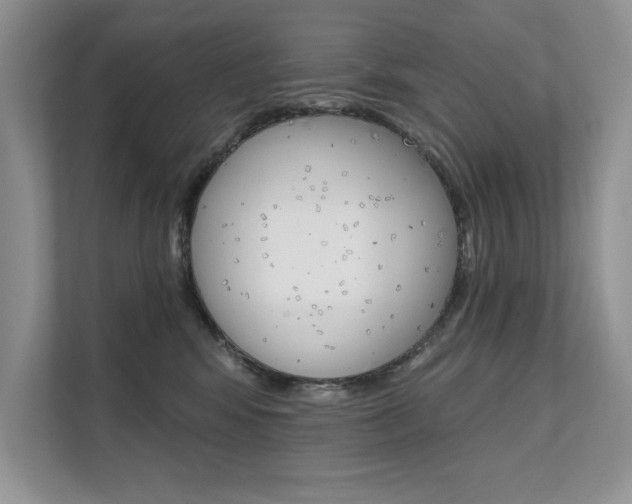 X0000111670424200907171448