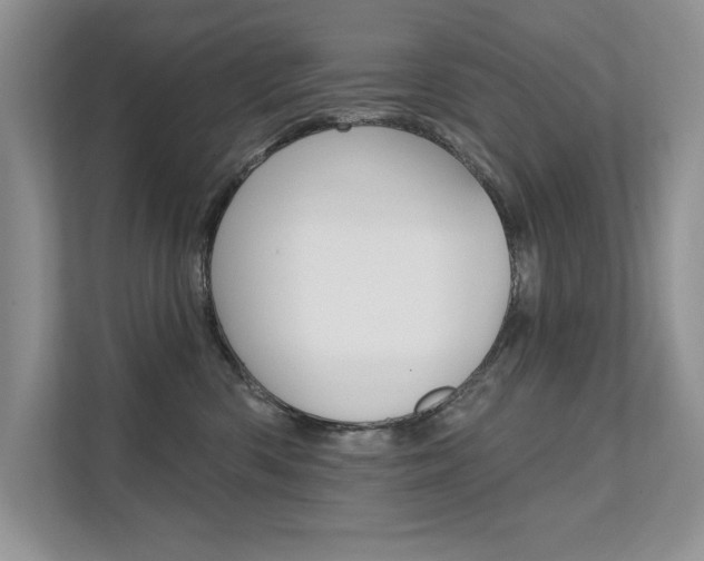 X0000111670426200907171448