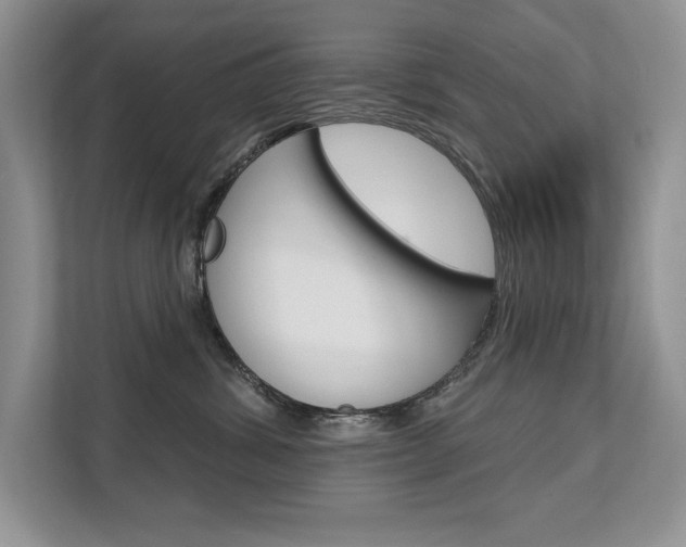 X0000111670428200907171448