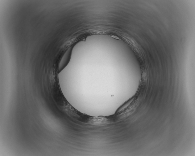 X0000111670429200907171448