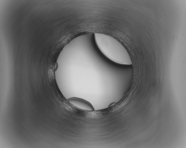 X0000111670432200907171448