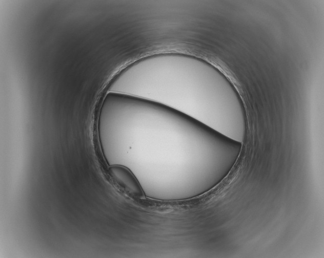 X0000111670434200907171447