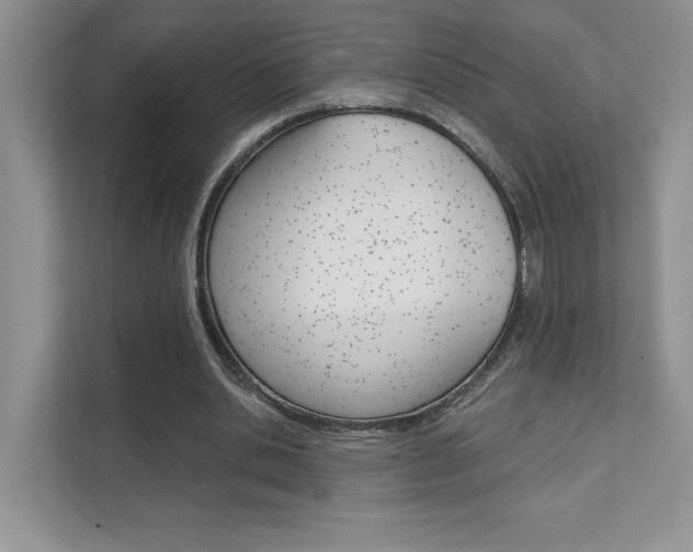 X0000111670438200907171447