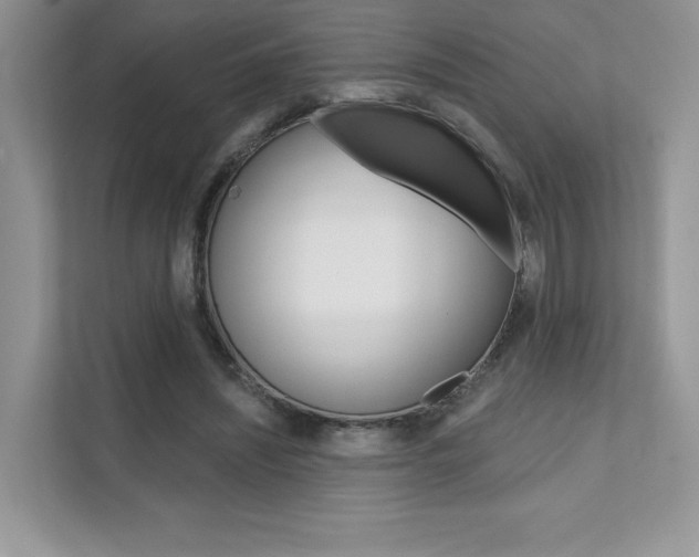 X0000111670444200907171447