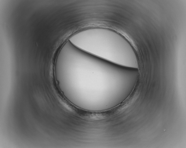 X0000111670445200907171447