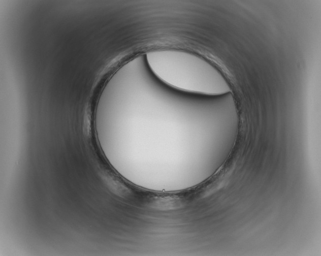 X0000111670446200907171447