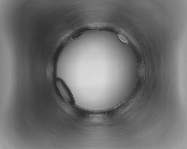 X0000111670448200907171447