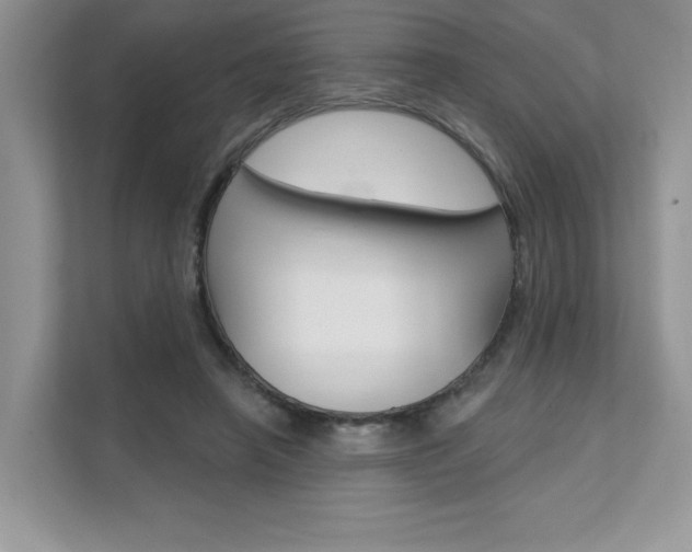 X0000111670450200907171447