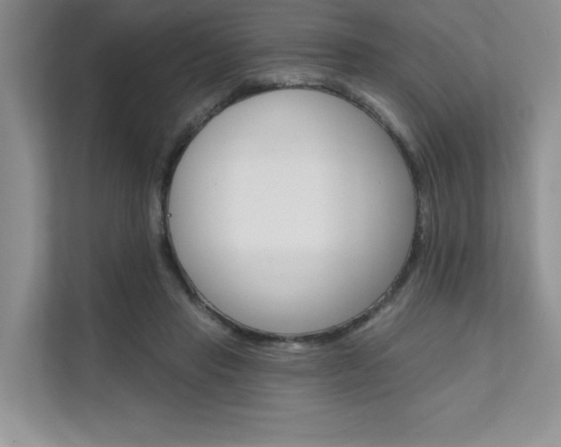 X0000111670453200907171448