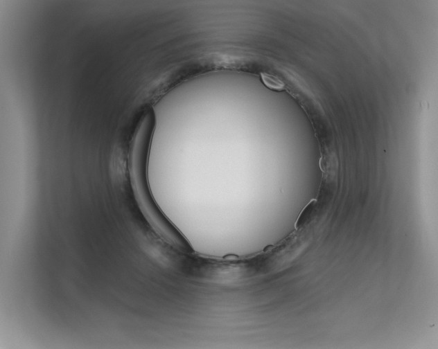 X0000111670456200907171448