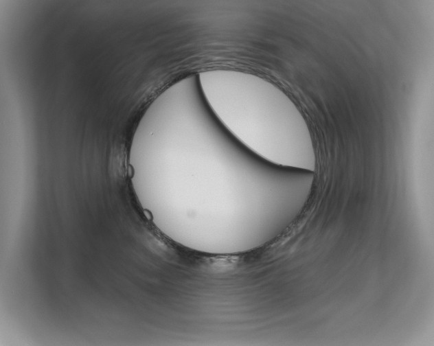 X0000111670474200907171448