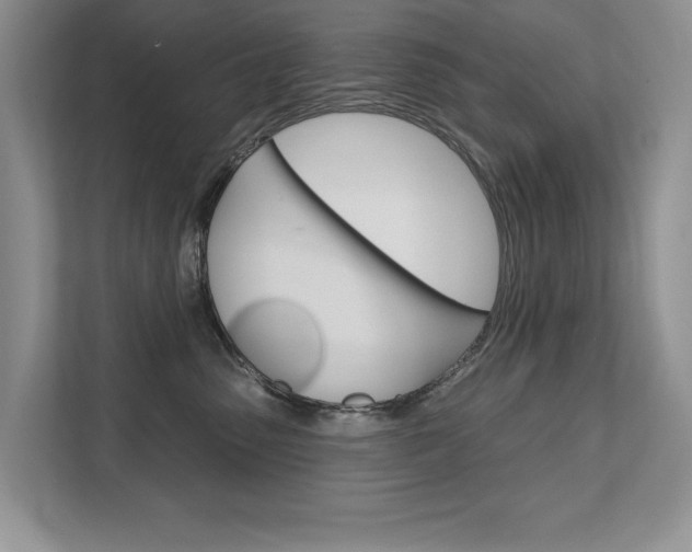X0000111670475200907171448