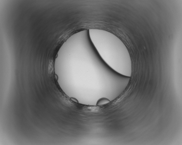 X0000111670478200907171448