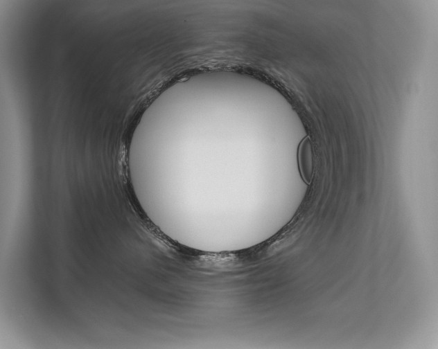 X0000111670480200907171448