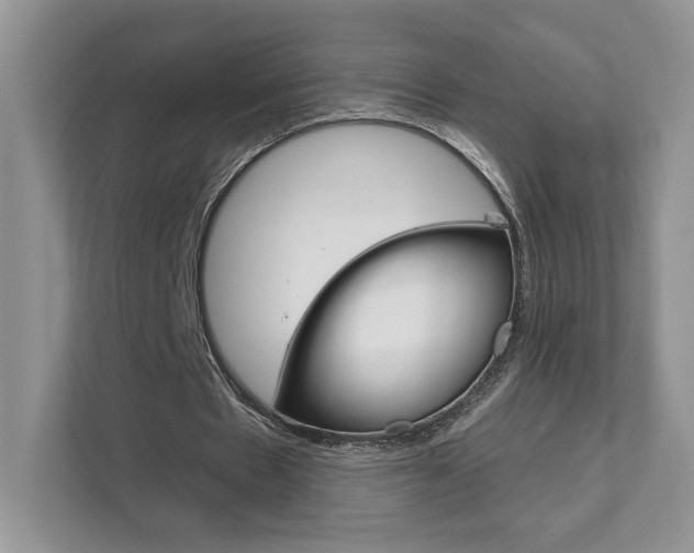 X0000111670481200907171447