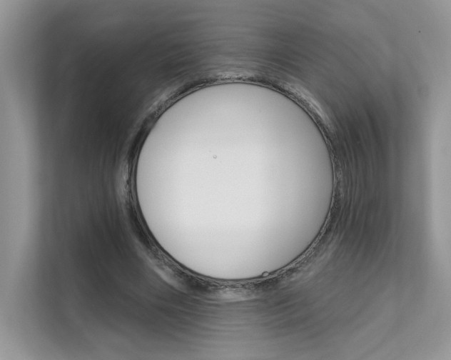 X0000111670490200907171447