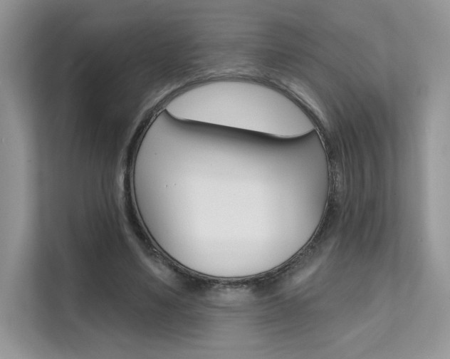 X0000111670491200907171447