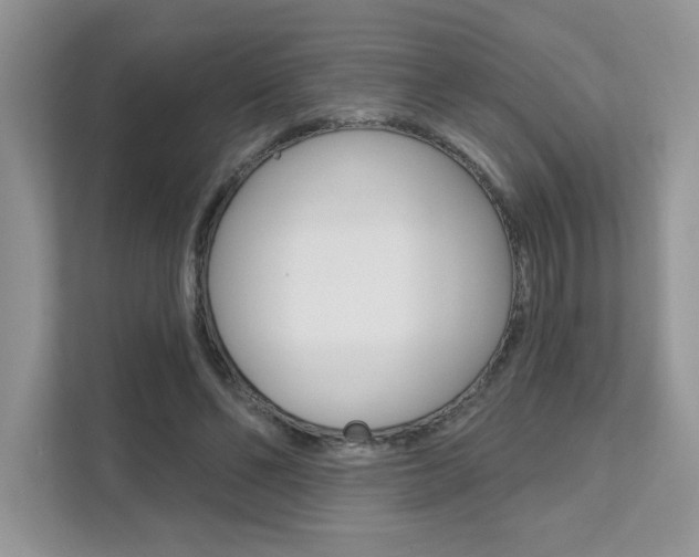 X0000111670494200907171447