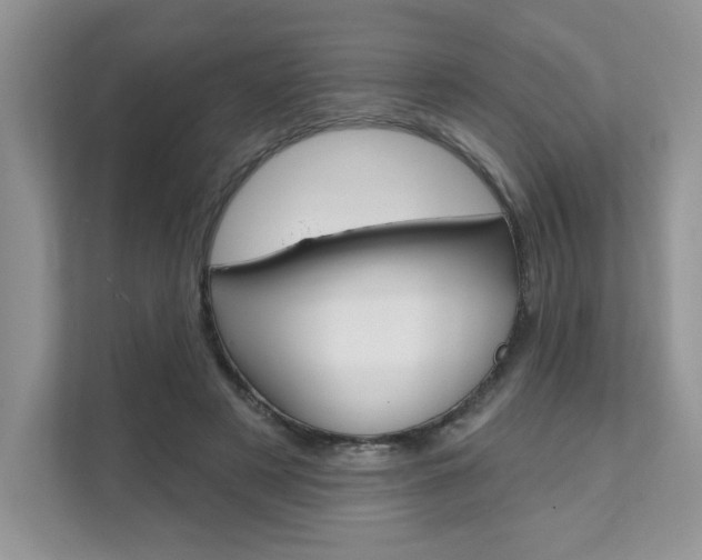 X0000111670497200907171447