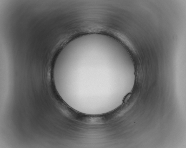 X0000111670501200907171447