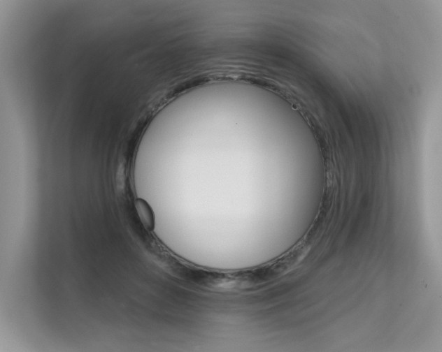 X0000111670504200907171447