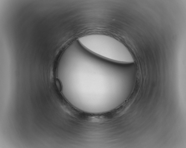 X0000111670508200907171447