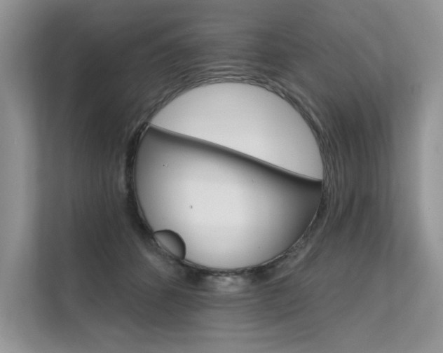 X0000111670512200907171447