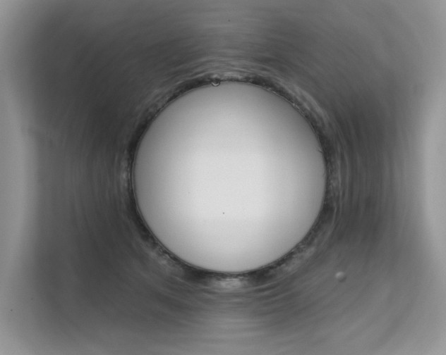 X0000111670513200907171447